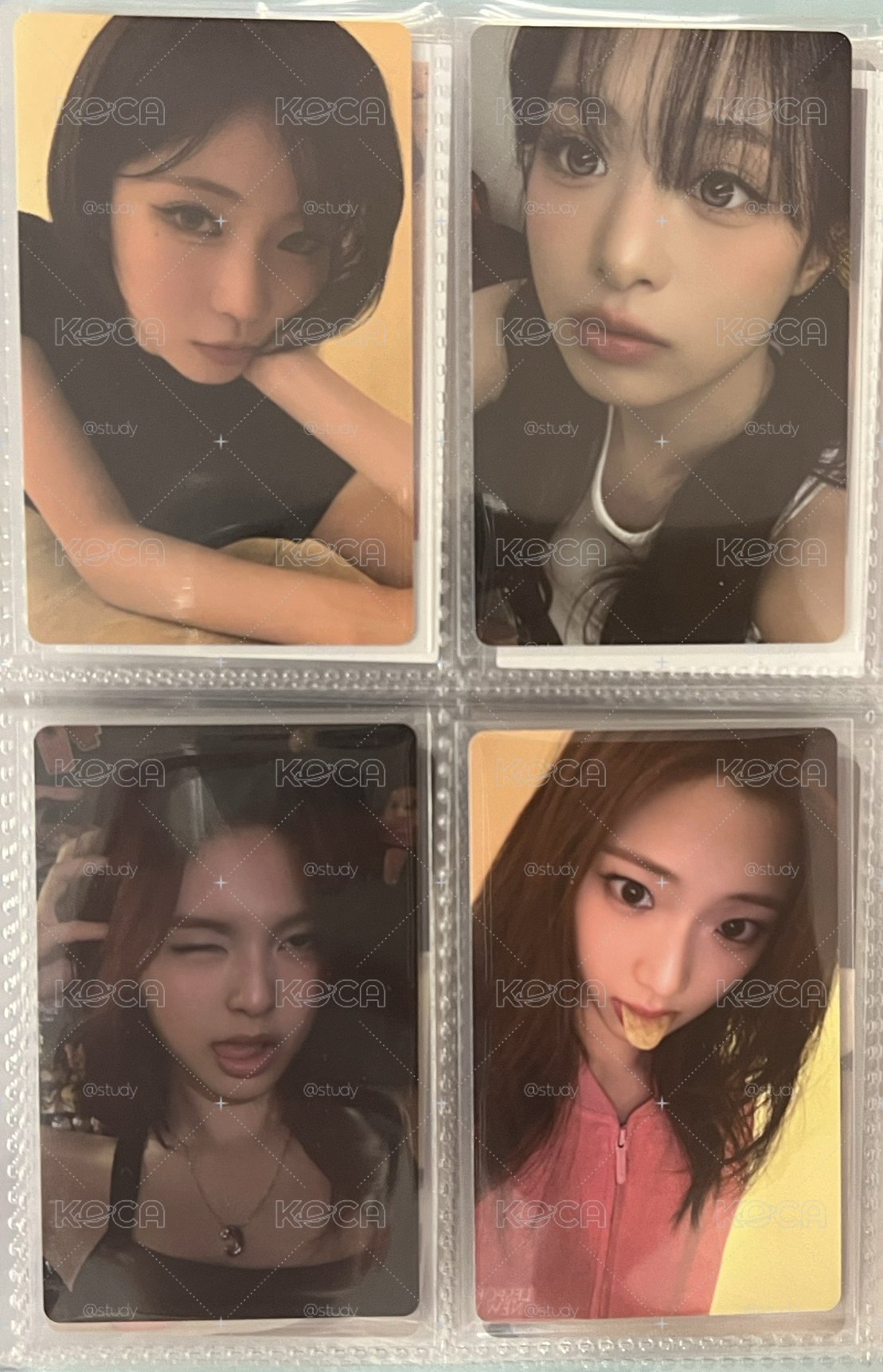 wvsD版現貨
