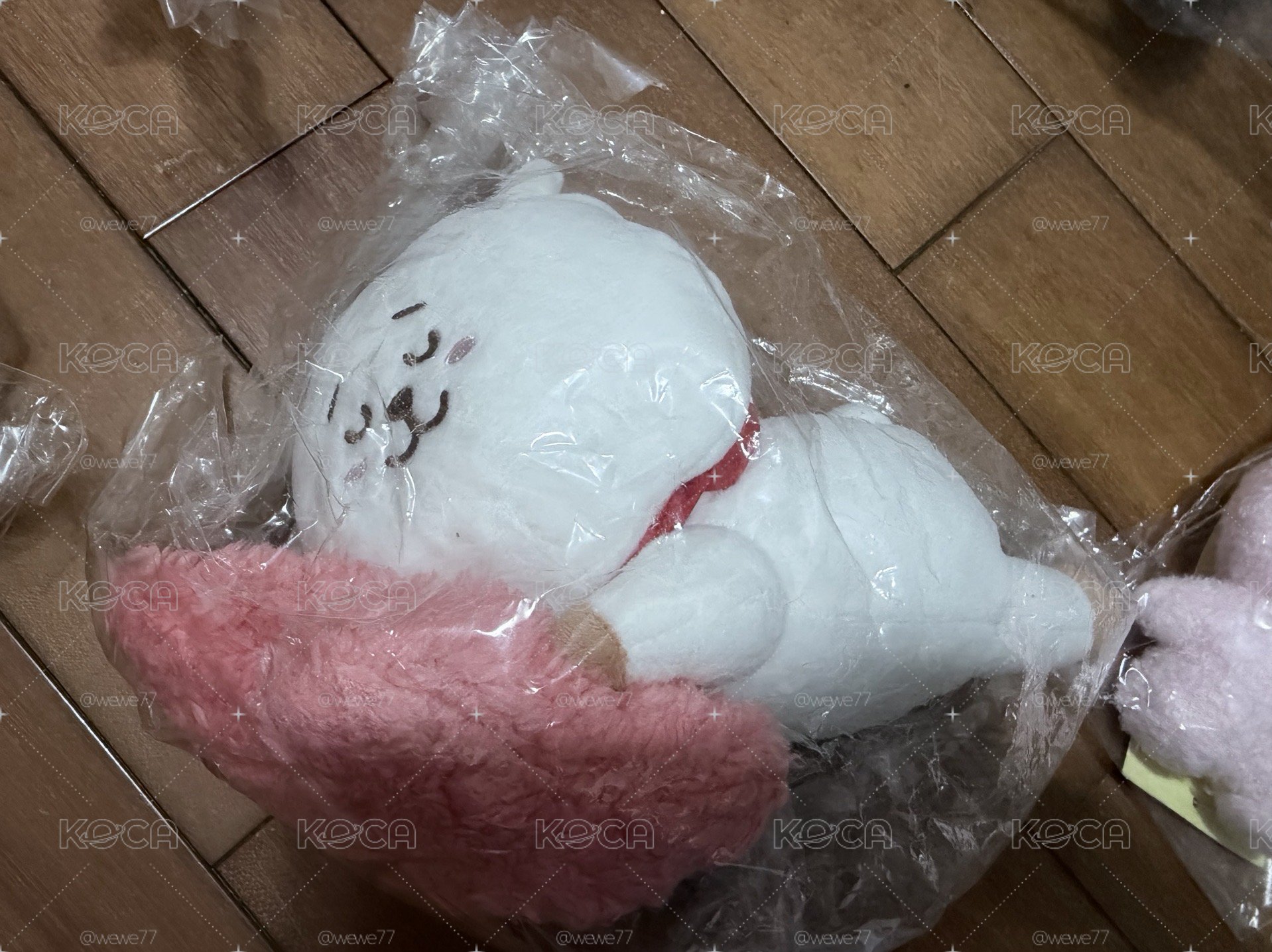 BT21 一番賞 MOON系列 RJ 娃