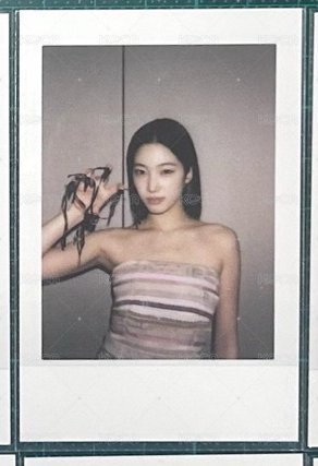 虎爪葉