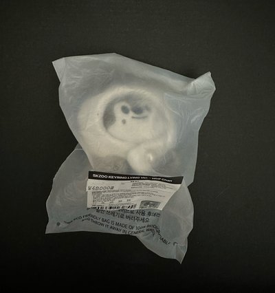 燦趴娃 韓趴娃