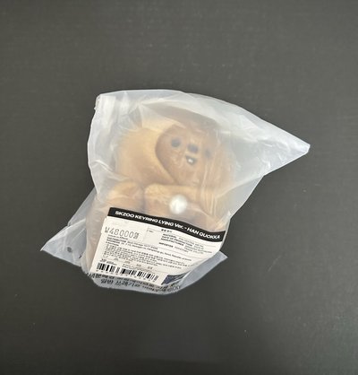 燦趴娃 韓趴娃