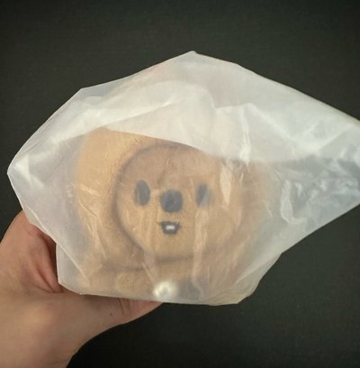 燦趴娃 韓趴娃
