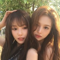 薛侖娥的狗