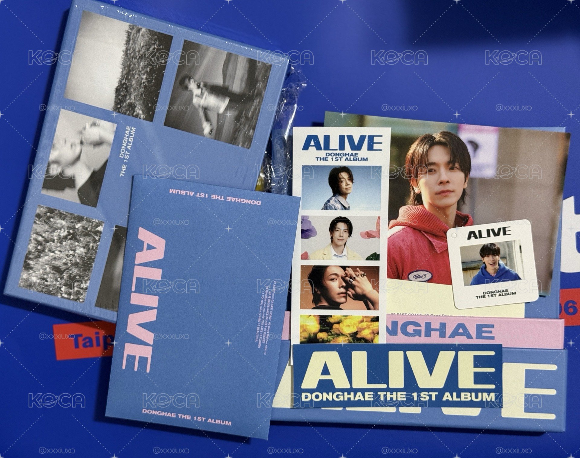東海 ALIVE PB版 空專