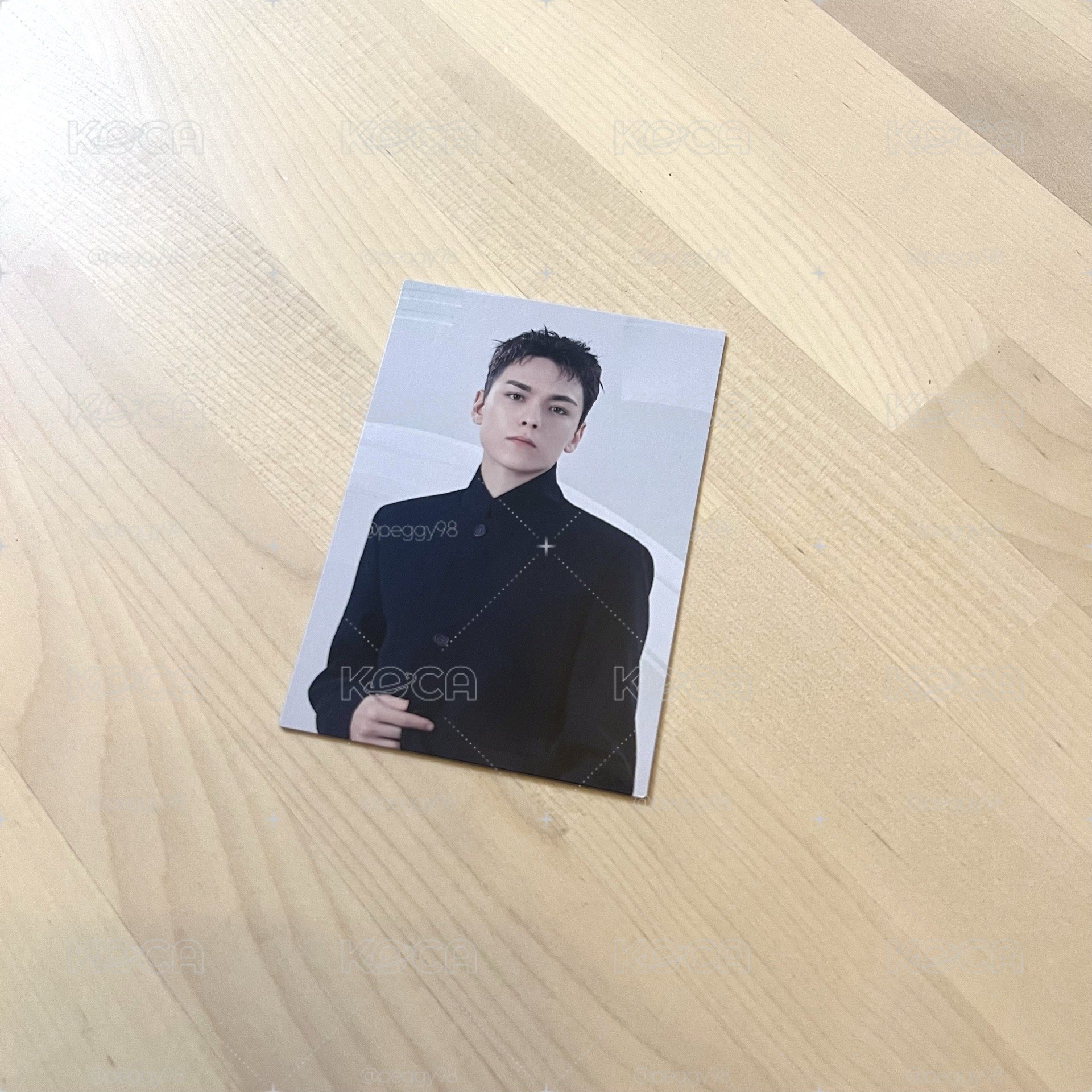 SEVENTEEN - NEW_ 日巡卡包 隨機卡 VERNON 小卡