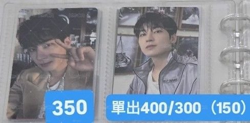 愛知圓、中背圓