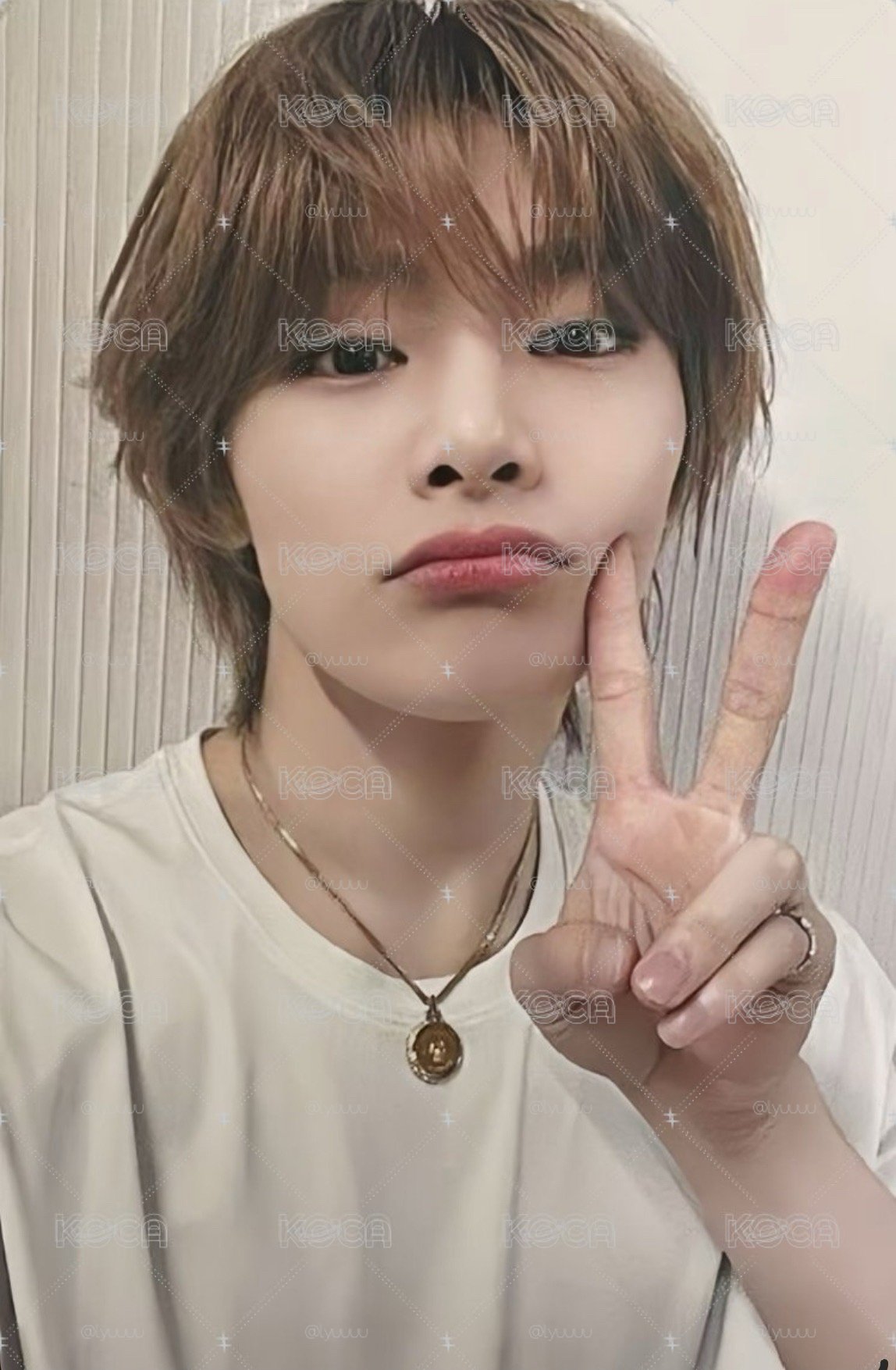 索尼羊