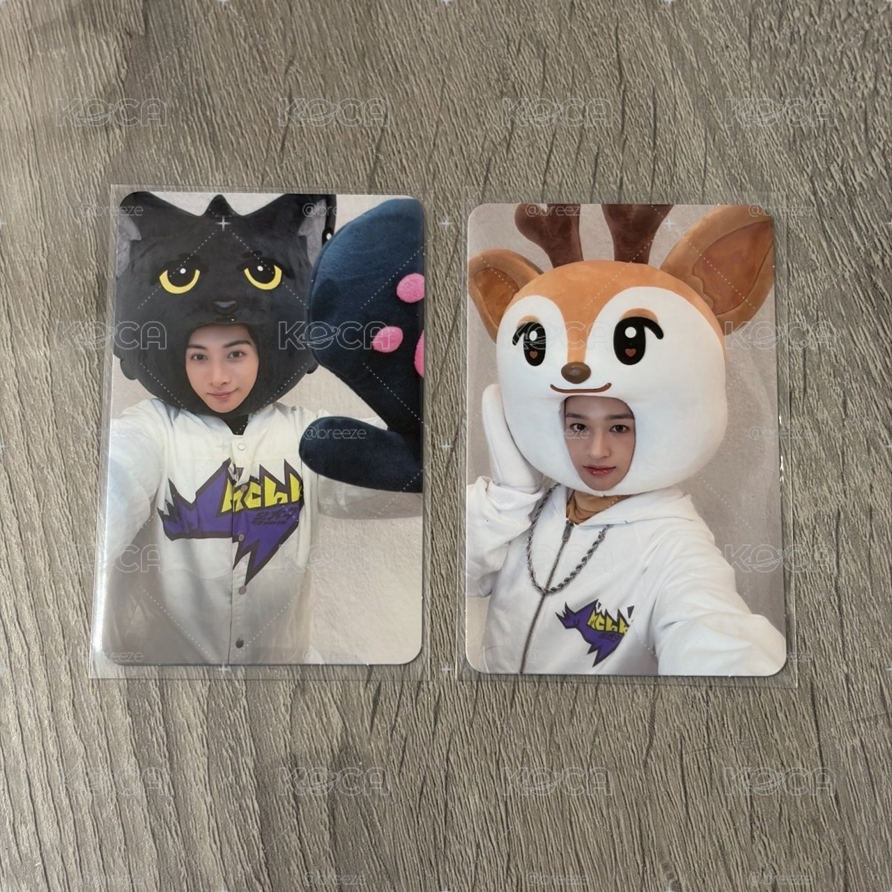 音中 二周 打歌卡🐈‍⬛🦌