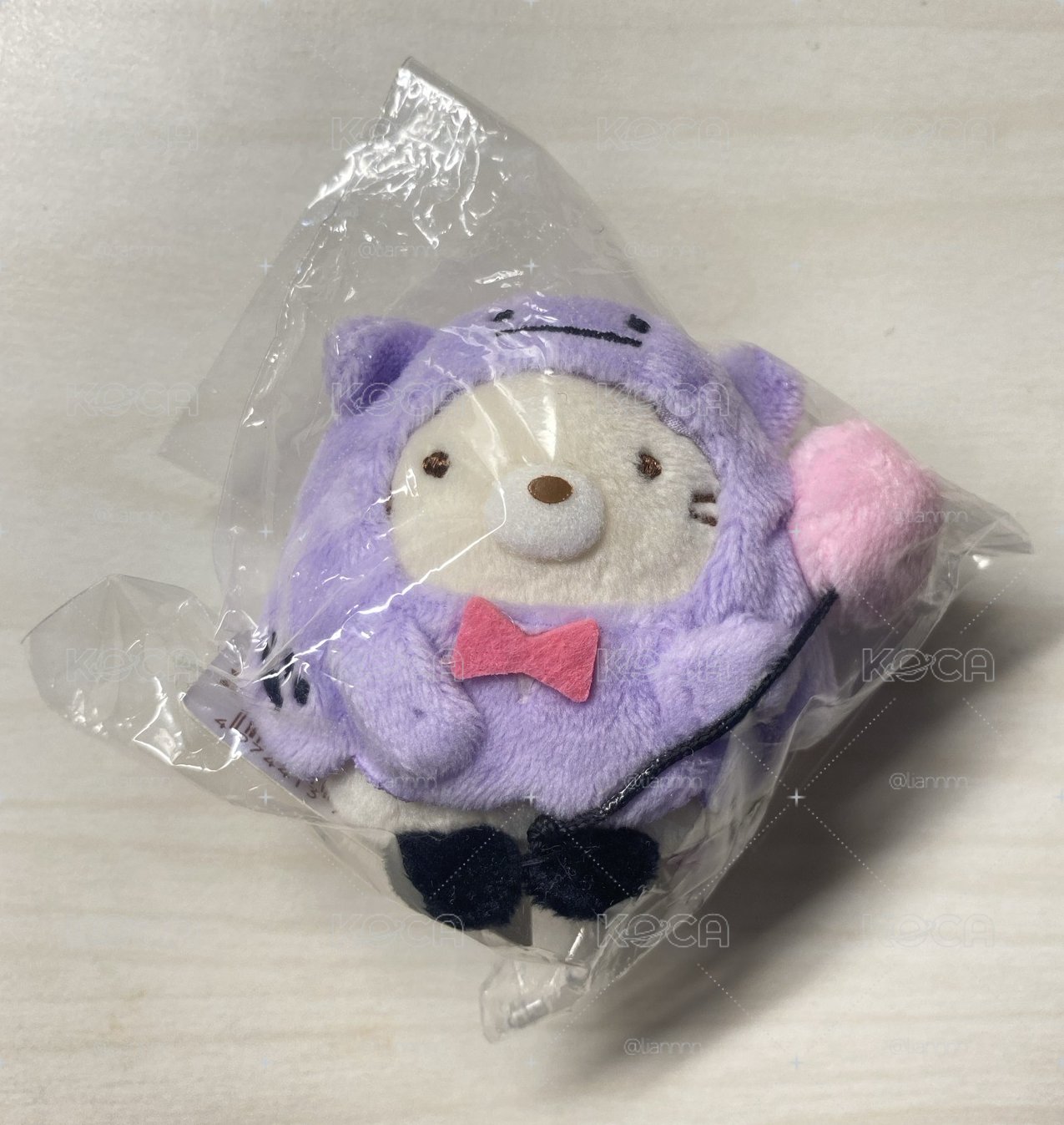 萬聖節裝扮貓咪