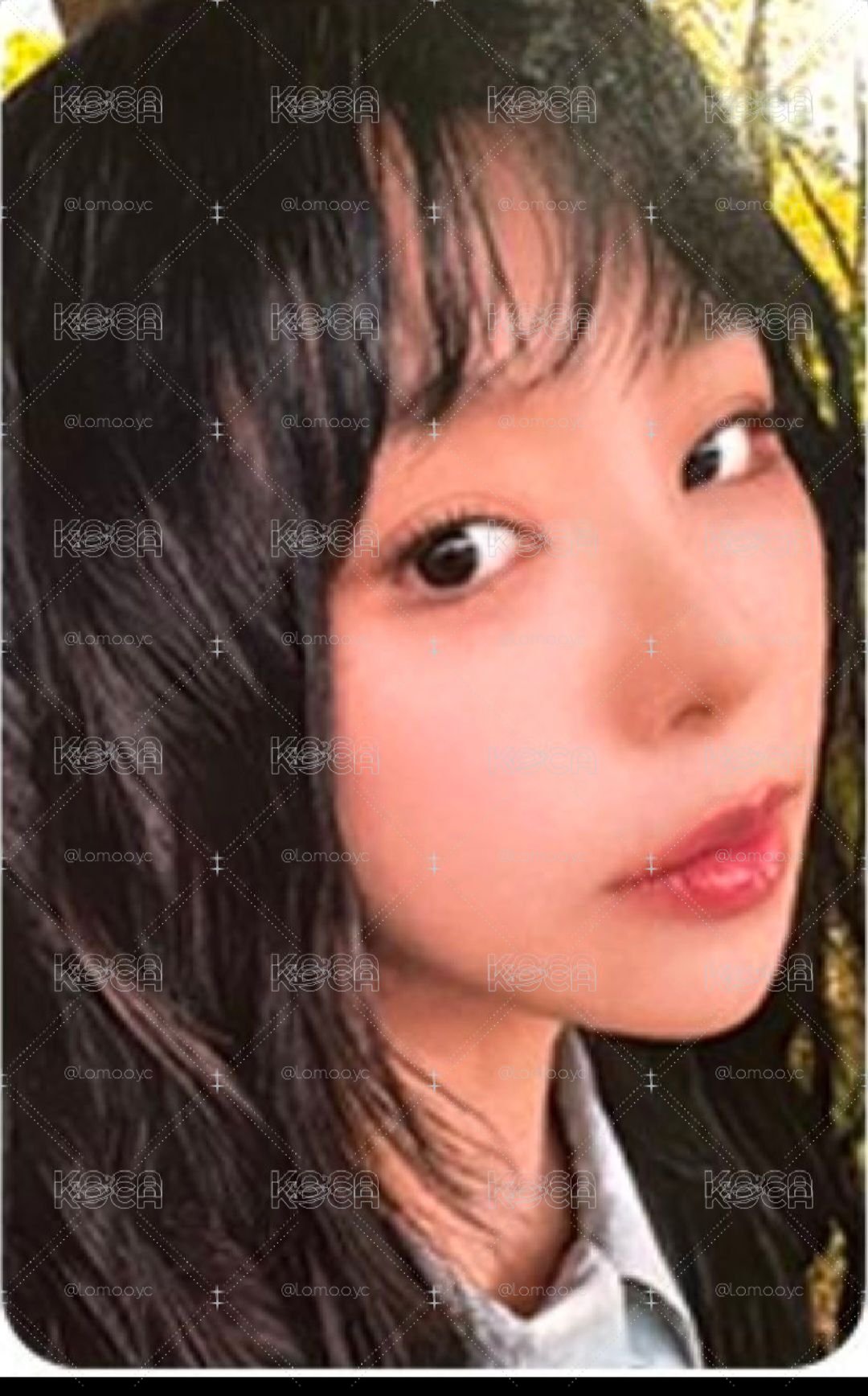 MAMAMOO 4WARD Kit Better LD 幸運卡 小卡 輝人。