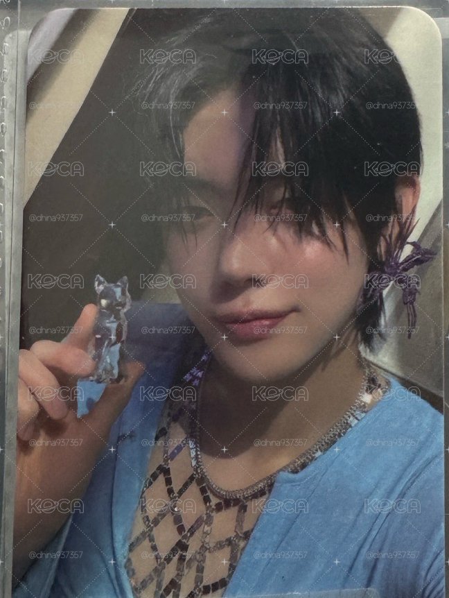 貌美玻璃貓竣