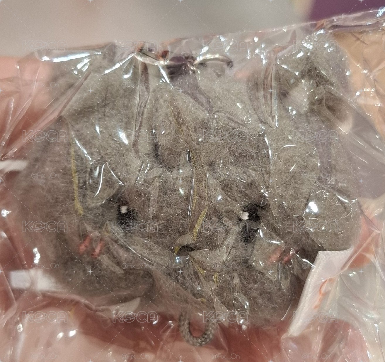 榮 扭蛋吊飾