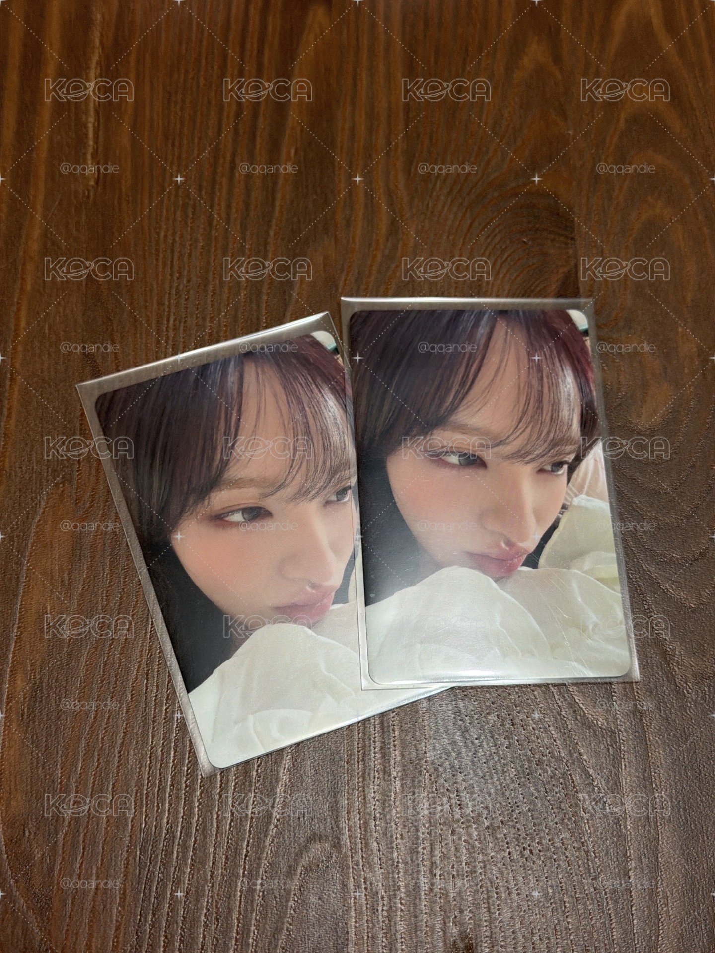 LUCID DREAM 栗塔店 特典卡（兩張）