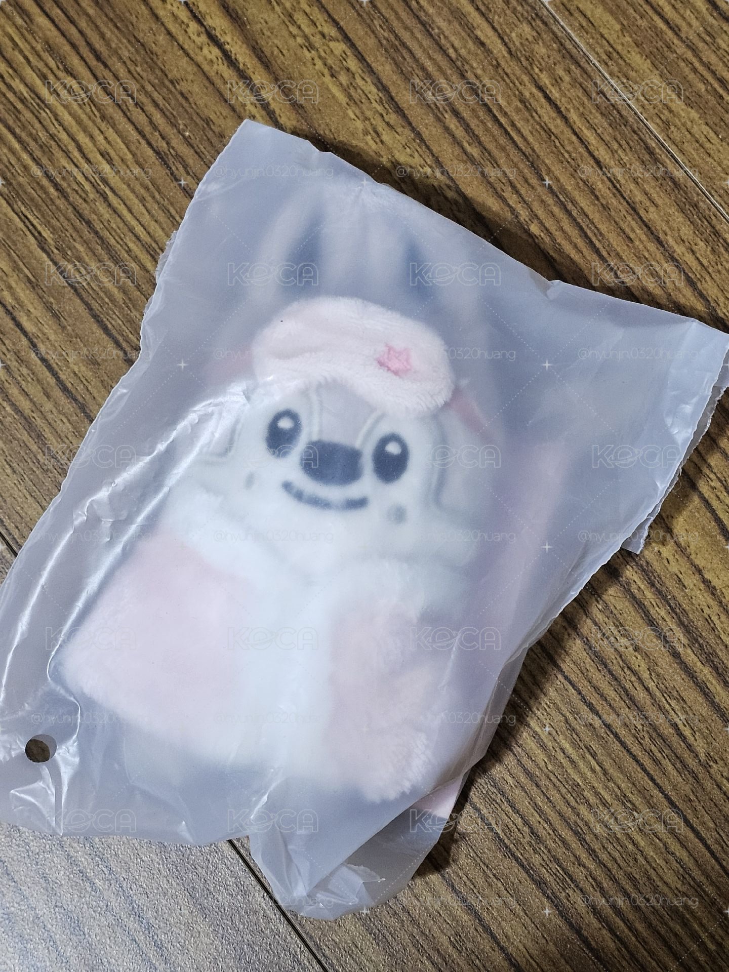 10公分燦狼