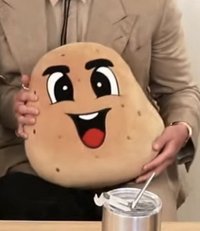 麗莎