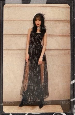 懵懵5