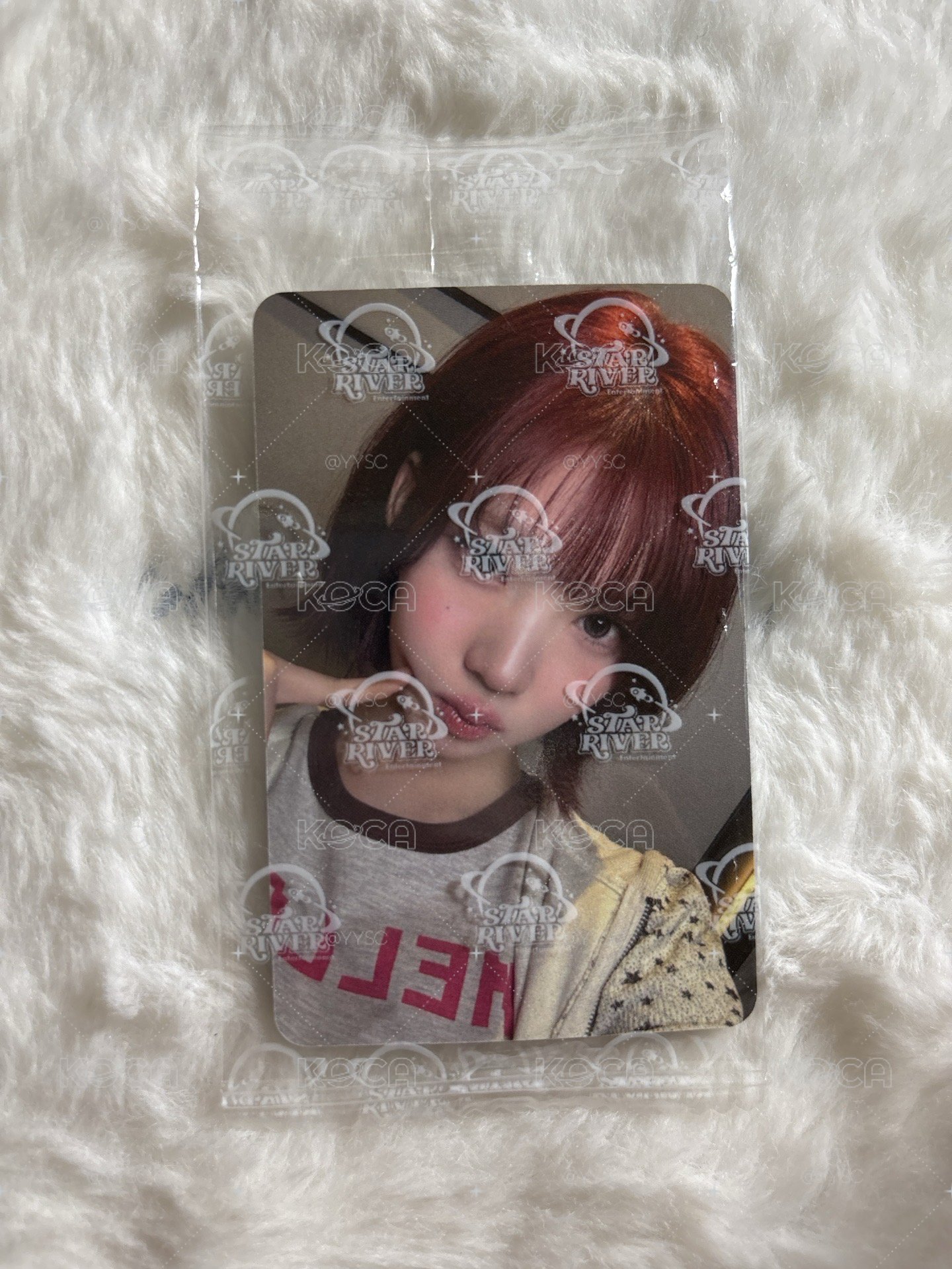 Jiwoo Focus sr 線下3.0 簽售卡 C ver. 上海