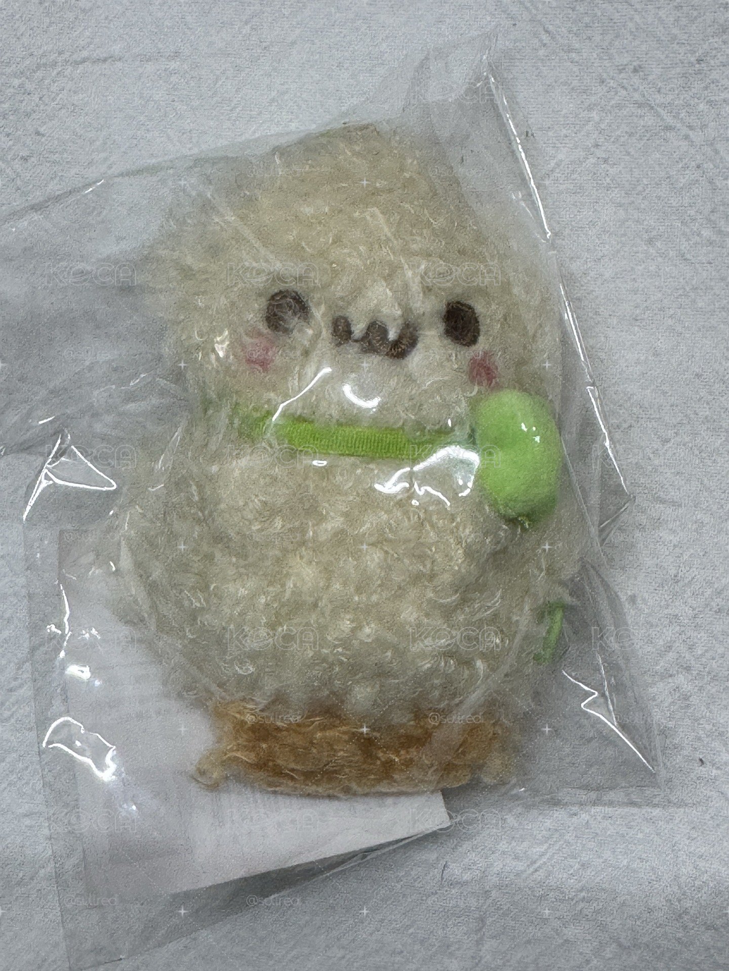 鄭花生 全新