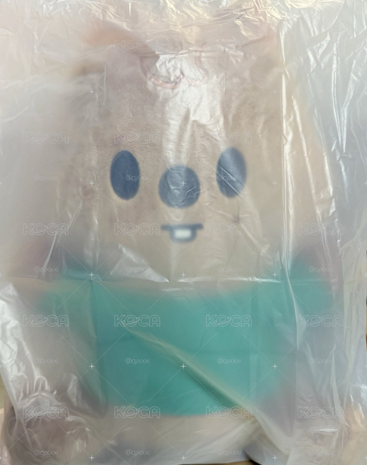 全球快閃 闊卡坐娃