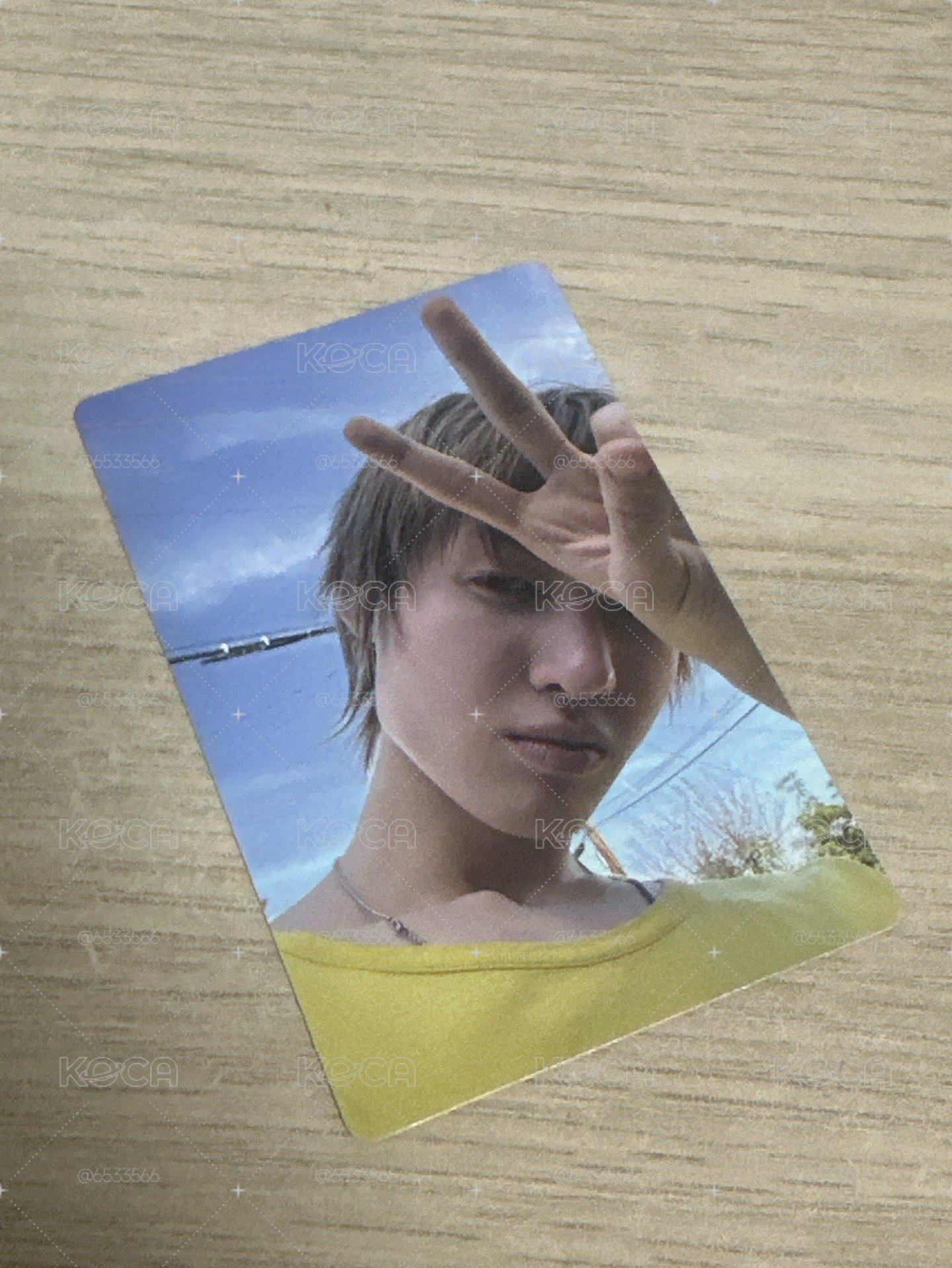 迷二Portrait A 電子專 專輯卡