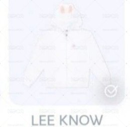 李畢外套