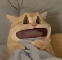 KAIEB
