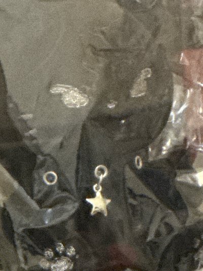 全新志+留坐娃