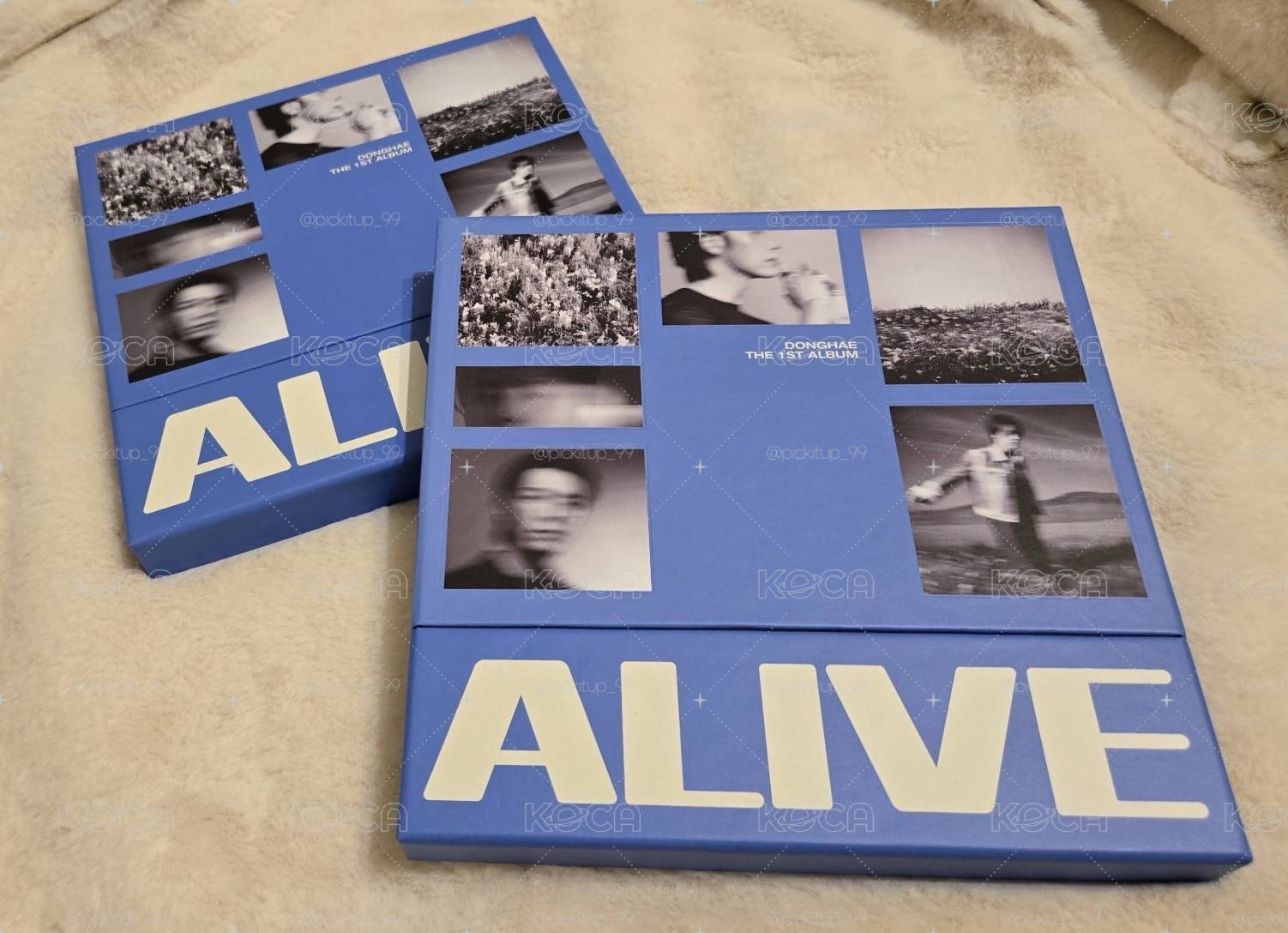 東海DONGHAE ALIVE空專