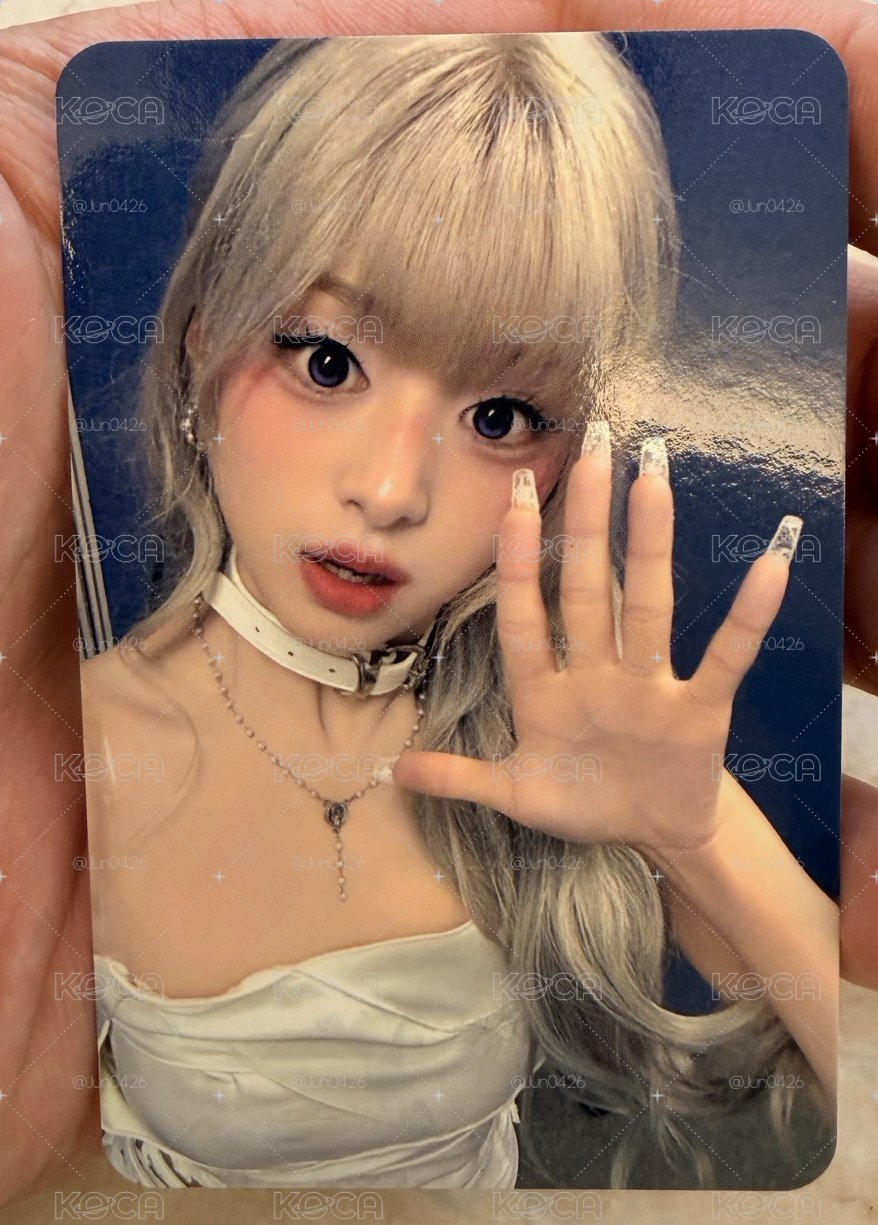 MS 特典賢(不帶