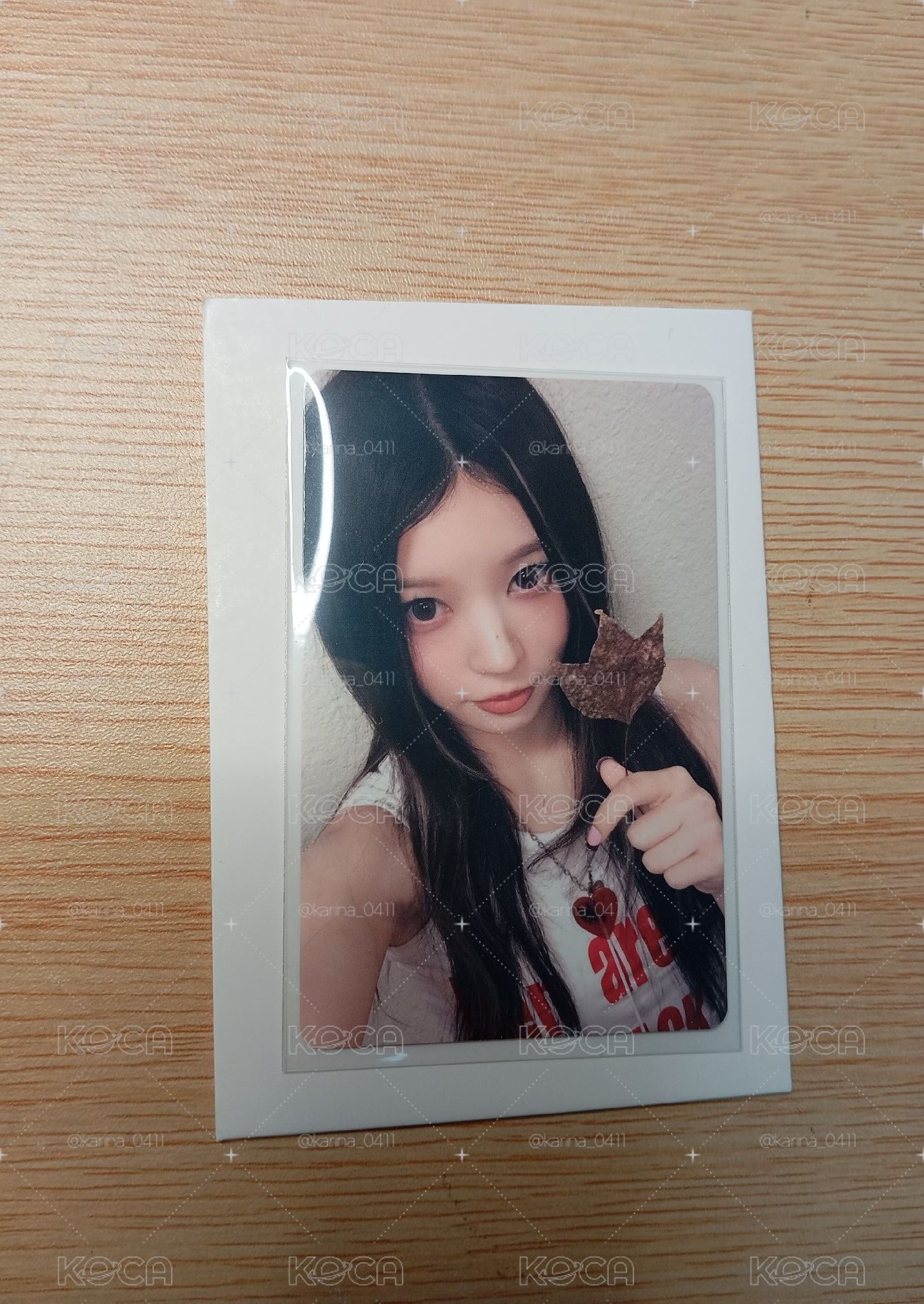 MOKA NOT CUTE ANYMORE yzy 特典卡 楓葉ver.