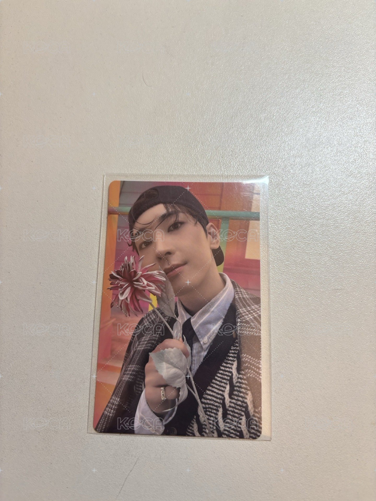 圓精選專wvs特典（含貼紙）