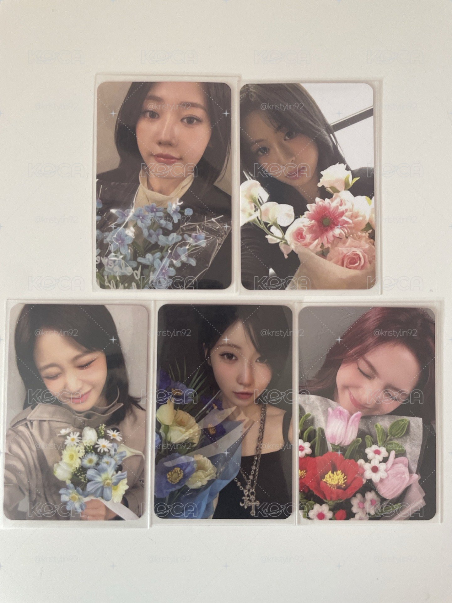 寶怪二週年回憶紀念寫真💽拿花🌷小盤