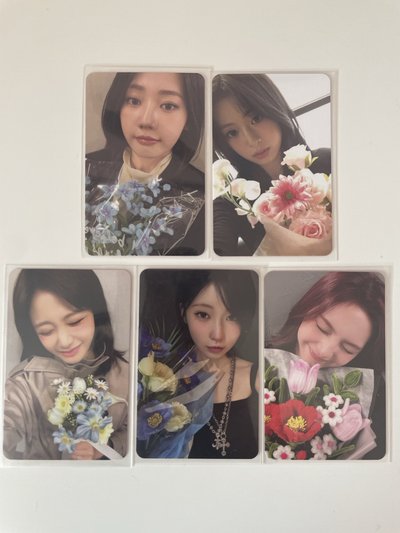 寶怪二週年回憶紀念寫真💽拿花🌷小盤