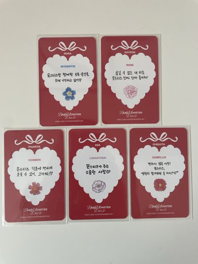 寶怪二週年回憶紀念寫真💽拿花🌷小盤