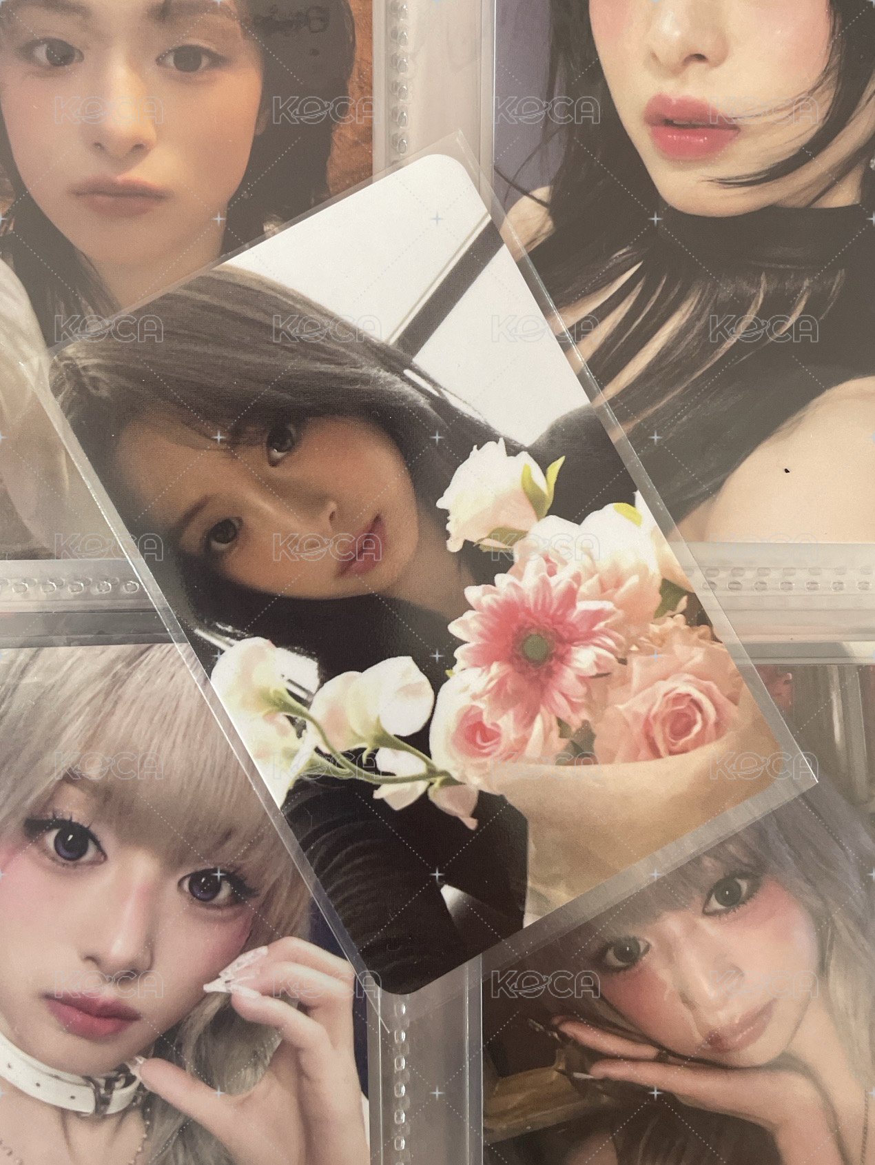 賢🦋