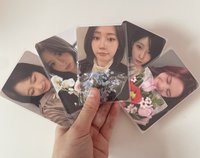 全🐼🐰🐈‍⬛🦌🦋