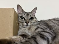 Sam