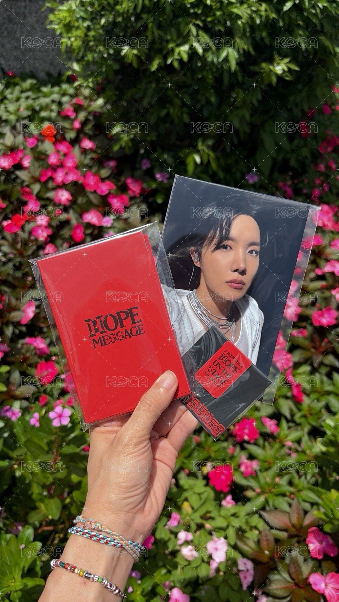 手燈+ DVD