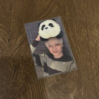 yzy限定熊貓寧