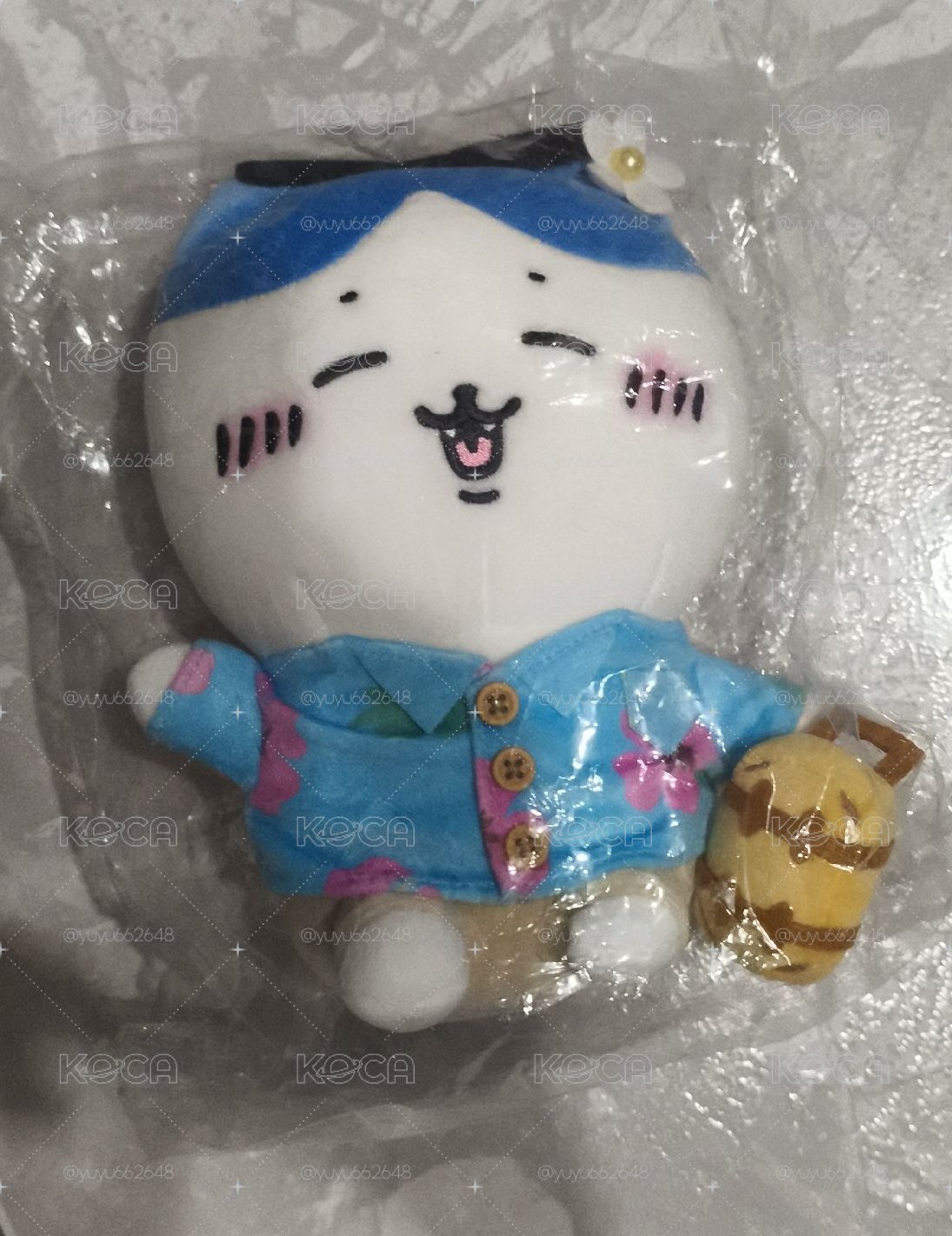 吉伊卡娃 官網 S娃 觀光 小八