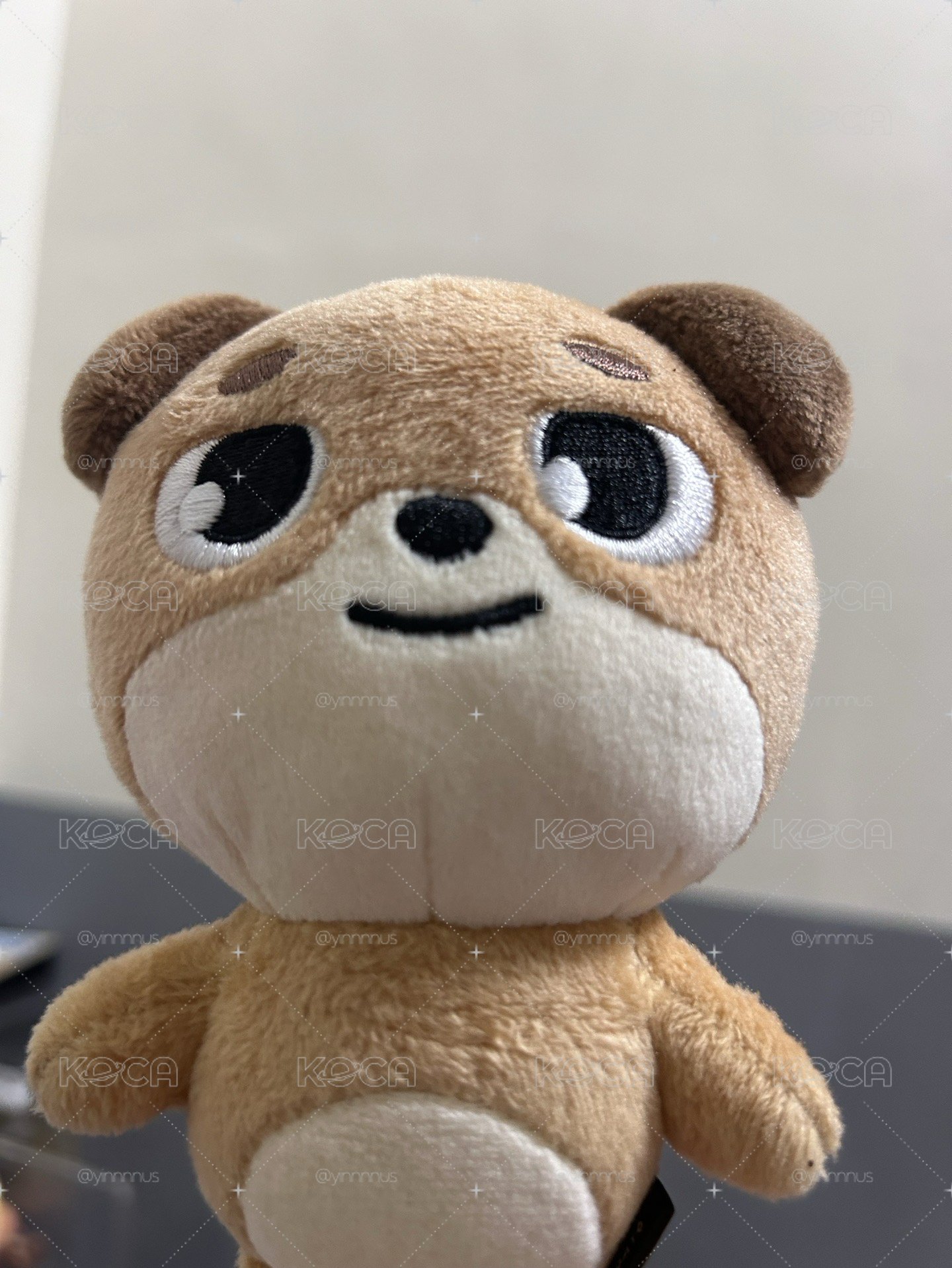 年代2019🐶 