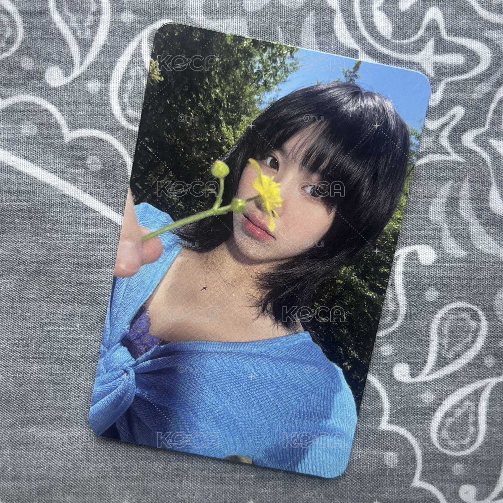 拿花彩 迷11 專輯卡 ver.D