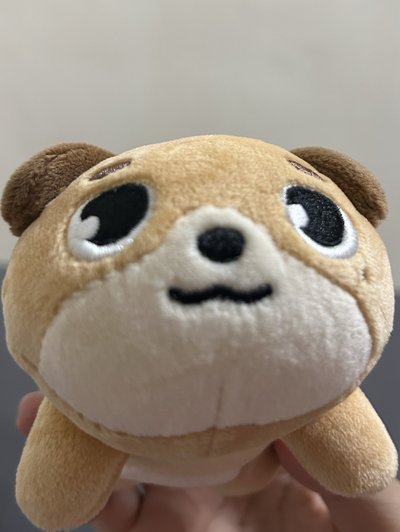 看起來很笨的趴娃🐶
