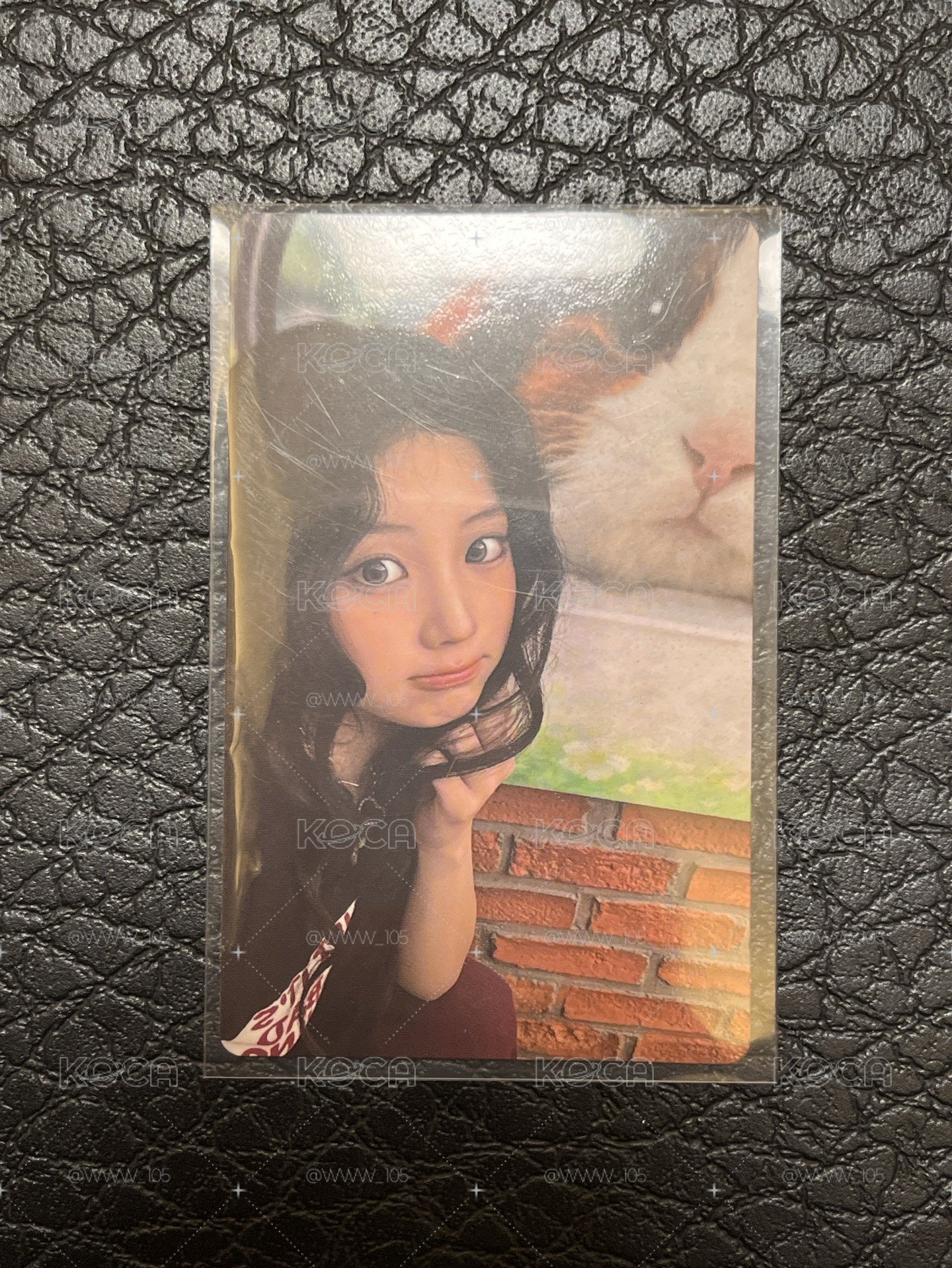 現貨 illit MAMIHLAPINATAPAI YT 特典卡 ：wonhee