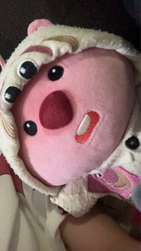 雪寶