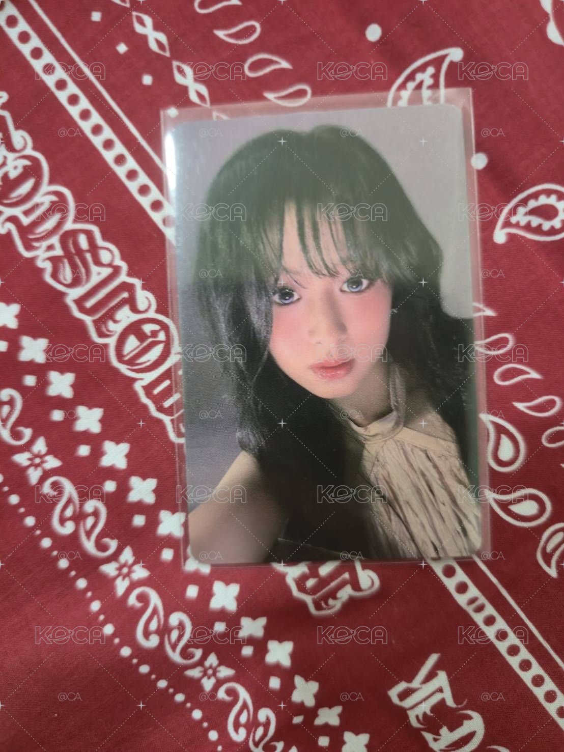 pvc賢(限時優惠