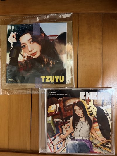 TWICE 六巡 新國立 小卡 日本 DIVE、ENEMY明信片 子瑜 TZUYU 登山 LOVELYS 扭蛋 磁鐵 