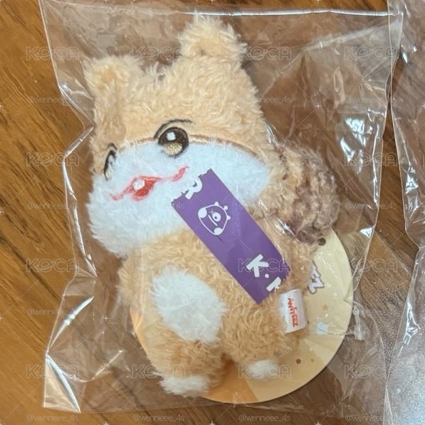 尾巴超大🐿️松鼠 潦草娃