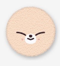 FoxI.Ny大頭