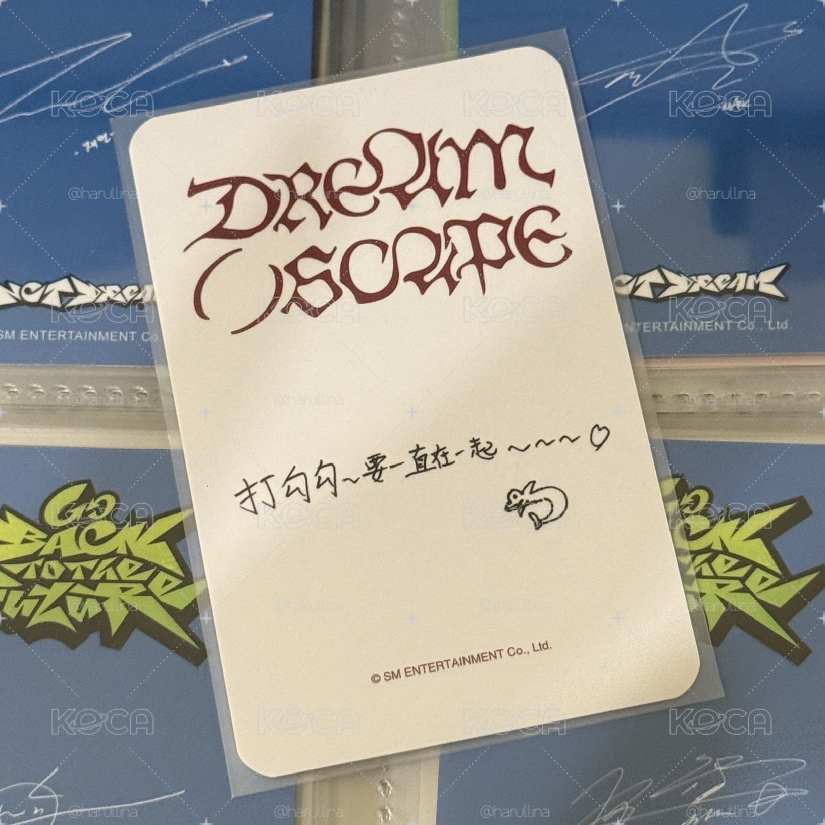NCT DREAM辰樂 中文卡背